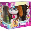 CLUB PETZ SUSY CANTA E BALLA