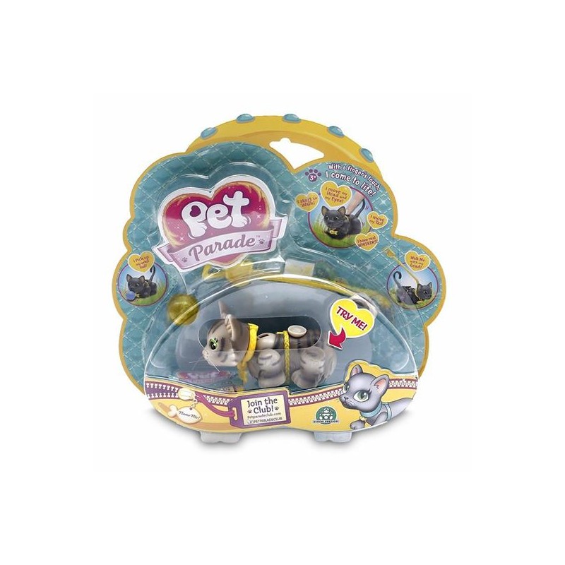 PET PARADE GATTI A PASSO