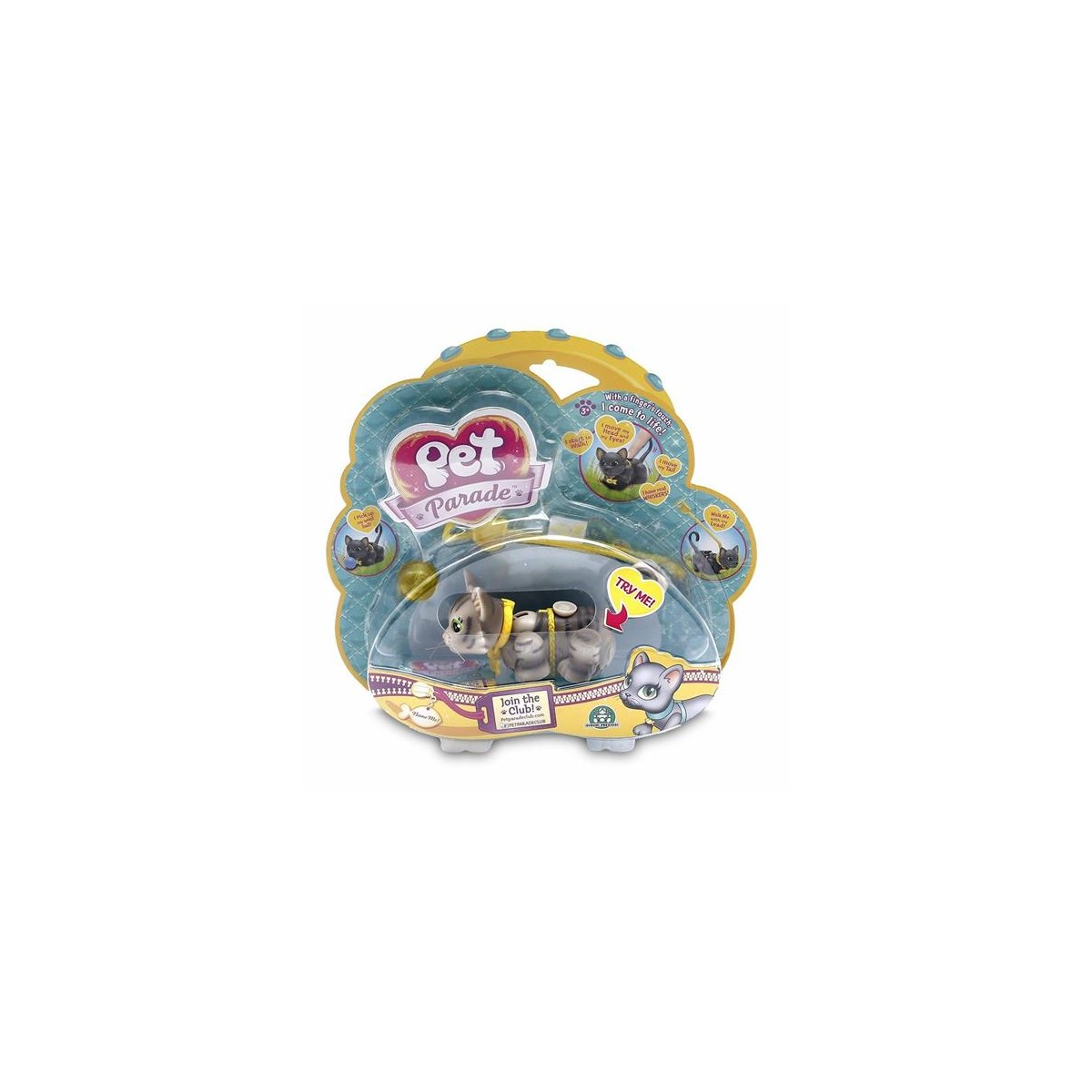 PET PARADE GATTI A PASSO