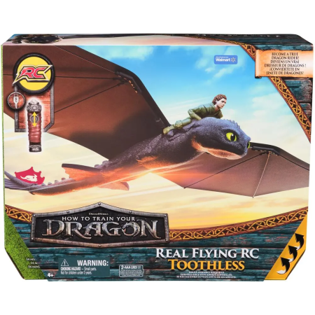 DRAGON REAL FLYING