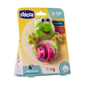 BABY SENSES FROG