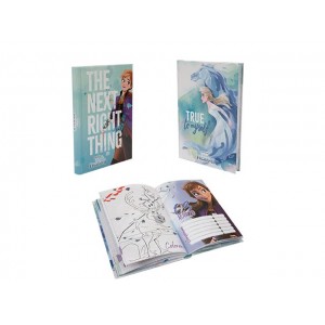 FROZEN II DIARIO STND