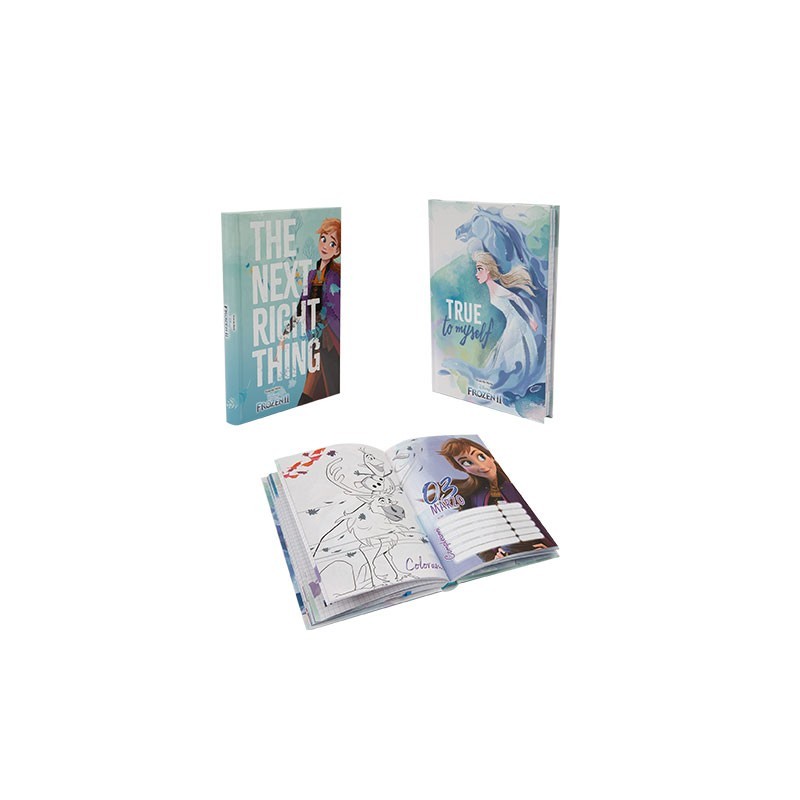 FROZEN II DIARIO STND