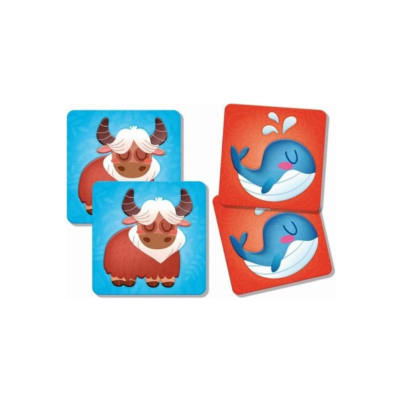 MONTESSORI   BABY TOUCH MEMO