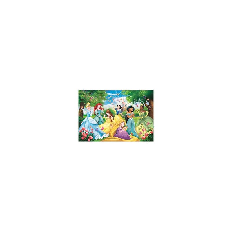 PRINCESS PRINCESS PUZZLE MAXI 60 PZ.