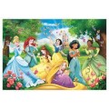 PRINCESS PRINCESS PUZZLE MAXI 60 PZ.