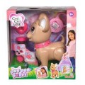 CHI CHI LOVE POO POO PUPPY