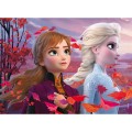 FROZEN PUZZLE 35PZ.