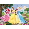 PRINCESS PUZZLE 35PZ.