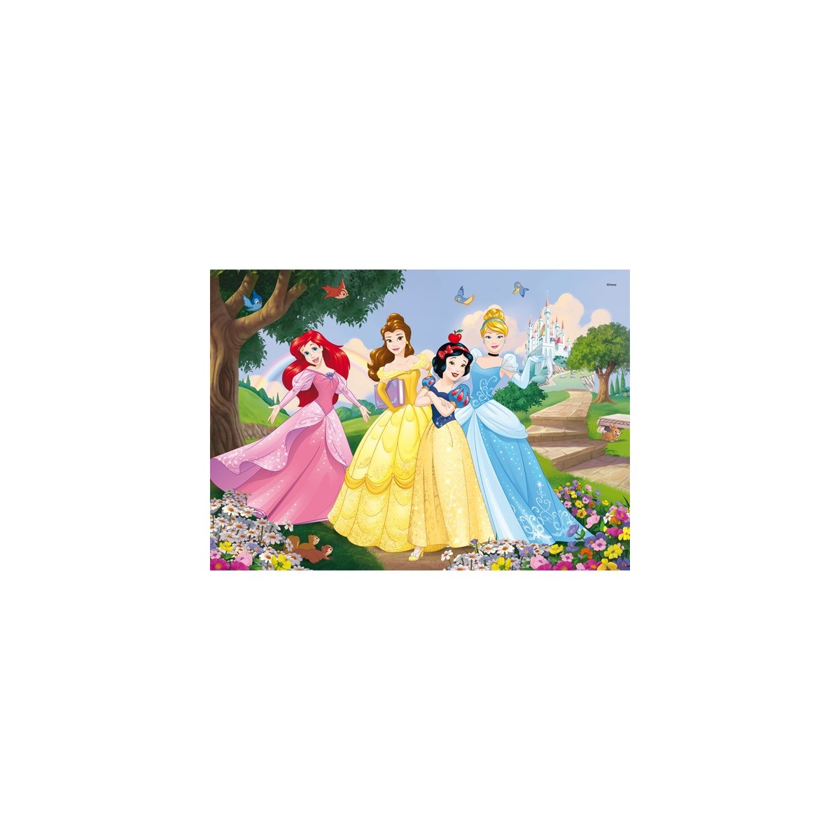 PRINCESS PUZZLE 35PZ.