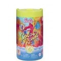 BARBIE CHELSEA COLOR REVEAL 6 SORPRESE