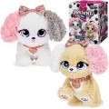 PRESENT PETS DOG