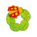 COCCINELLA MORDICCHIOSO